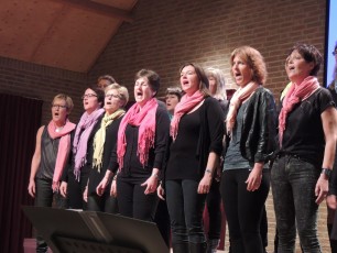 Uitwisselingsconcert Voices - Innovation - zanggroep Confervore